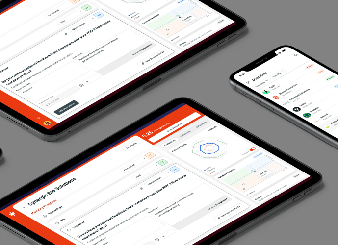 Metis startup evaluation tool